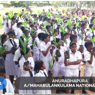 Img 20240829 Wa0009 1