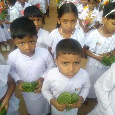 Img 20250218 Wa0017 1